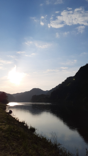 朝の古座川