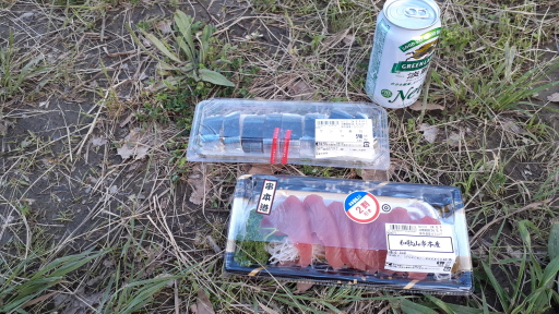 サンマ寿司とヨコの刺身