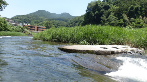 三本堤(2本目)