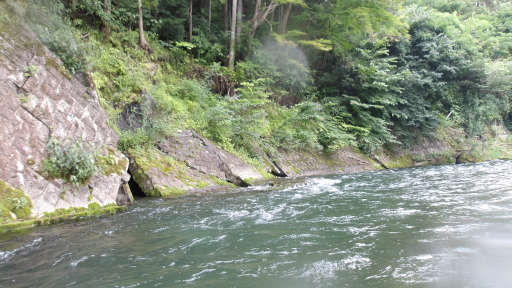 三本堤の先の右岸の擁壁