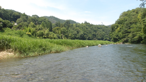 日向和田ポンプ場の下流